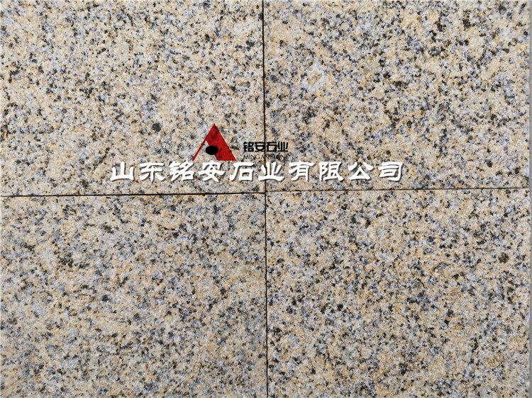 海地金钻花岗岩 荔枝面